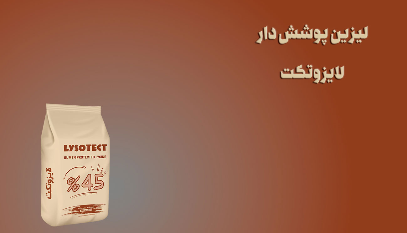 لیزین محافظت شده لایزوتکت
